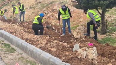 تواصل حملة التشجير الوطنية في جرش...