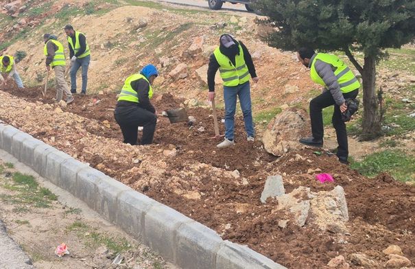 تواصل حملة التشجير الوطنية في جرش...