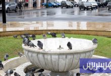 توقعات طقس اليوم الأحد بالمغرب