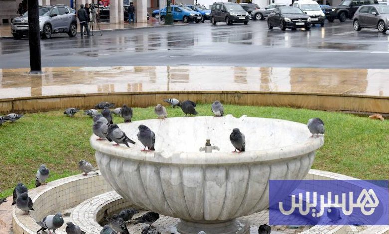 توقعات طقس اليوم الأحد بالمغرب