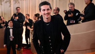 تيموثي شالاميه .. الأصغر سناً في ترشيحات الأوسكار بثلاث جوائز