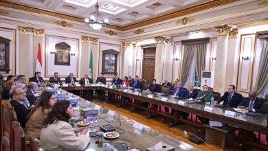 جامعة القاهرة: اللجنة العليا للذكاء الاصطناعي تحدد تفاصيل المؤتمر الدولي السنوي الثاني ومبادرات بحثية موسعة