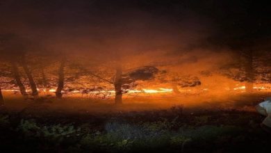 حرائق غابات في 3 مقاطعات إندونيسية رغم موسم الأمطار