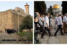 خلال 2025.. 280 اقتحاما للأقصى ومنع الأذان 769 مرة في الإبراهيمي