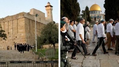 خلال 2025.. 280 اقتحاما للأقصى ومنع الأذان 769 مرة في الإبراهيمي