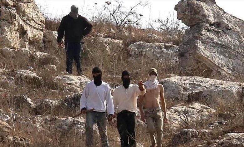 خلال أسبوعين.. أوتشا: هجمات المستوطنين هجرت 100 عائلة فلسطينية بالضفة