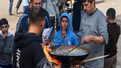 رئيس المجلس التنفيذي للفاو: غزة والسودان ضمن 6 مناطق تواجه المجاعة