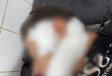 «رفض يغششه».. طالب يعتدي على زميله بسلاح أبيض بعد امتحان التاريخ في الشرقية