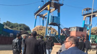 سكر أبو قرقاص: 18 يناير آخر موعد لاستقبال شحنات توريد محصول القصب