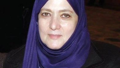 شمس البارودي تنجو من حادث سير مروع أعلى كوبري الدقي