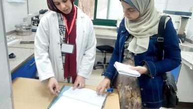 صحة دمياط تكثف الجولات الميدانية لمتابعة الأداء التمريضي بالمستشفيات