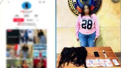 ضبط صانعة محتوى بتهمة نشر فيديوهات خادشة للحياء على مواقع التواصل بالجيزة