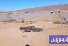 عامل إقليم طاطا يتلف زراعة "الدلاح"