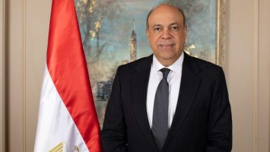 فيديو.. وزير الطيران يكشف تفاصيل إلغاء كارت الجوازات للقادمين والمغادرين نهاية يناير الجاري