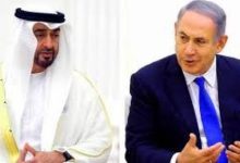 كاتب سعودي يهاجم "أبو ظبي": "خانوا الله والأمة ودعموا الحرب البربرية على غزة"