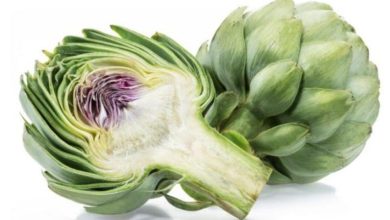 معلومة طبية.. فوائد الخرشوف - بوابة الشروق