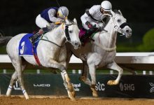 منافسة قوية في سباقات مهرجان الأمير سلطان بن عبدالعزيز العالمي للجواد العربي