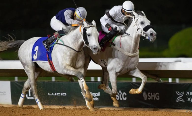 منافسة قوية في سباقات مهرجان الأمير سلطان بن عبدالعزيز العالمي للجواد العربي