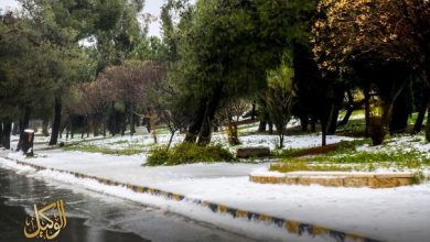 منخفض جوي عاصف وأمطار ممزوجة بالثلوج في طريقها إلى الأردن...