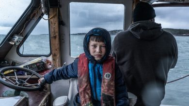 مهرجان برلين السينمائى الـ76.. حضور طاغٍ لقضايا الهوية والتحولات السياسية والاجتماعية وتفكك الحدود