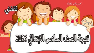 نتيجة الصف السادس الابتدائي 2026 الترم الأول بالقاهرة