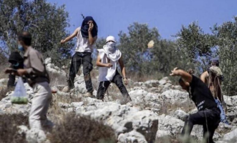 نزوح قسري لنحو 20 عائلة من تجمع شلال العوجا بسبب "عربدة" المستوطنين