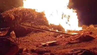 هجوم استيطاني واسع في مسافر يطا.. حرق وسرقة واعتداء