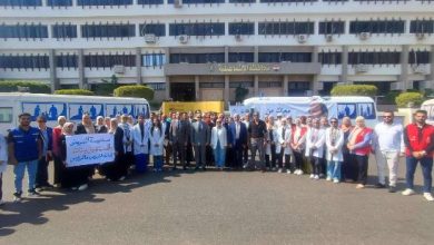 وزارة الصحة: تقديم 1.54 مليون خدمة طبية بالإسماعيلية خلال 2025