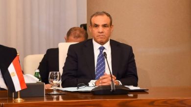 وزير الخارجية المصري يتلقى اتصالًا من المبعوث الأميركي لبحث تطورات غزة