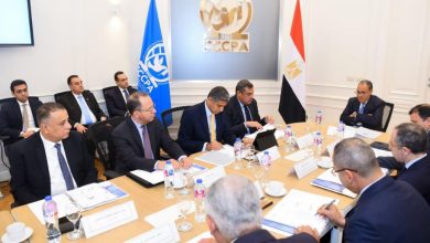 وزير الخارجية: يجب تكثيف أنشطة مركز القاهرة الدولي لتسوية النزاعات بما يتسق مع أولويات القارة الأفريقية