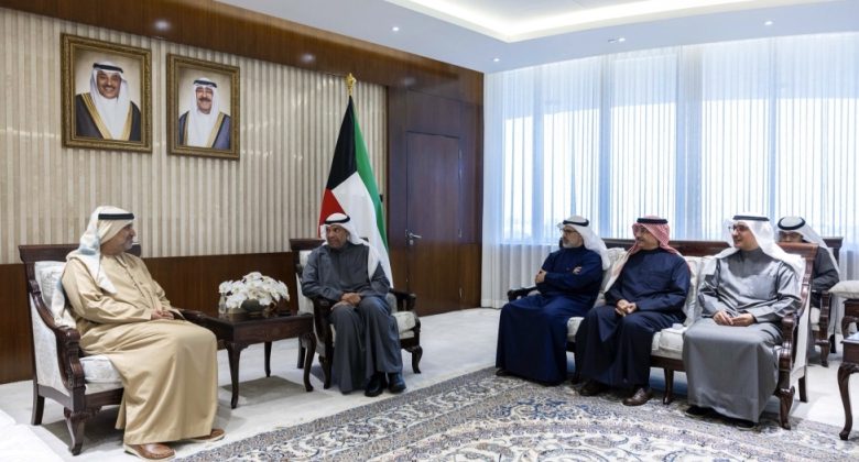 وزير الخارجية يستقبل السفير الإماراتي