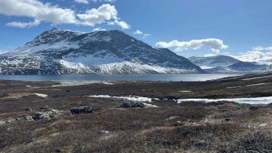 وزير الخزانة الأميركي يدعو الأوروبيين لضبط النفس بشأن غرينلاند