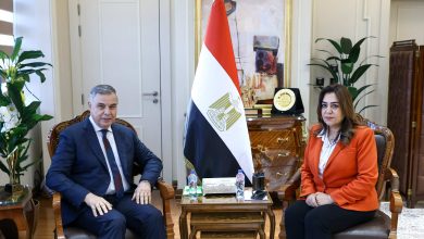 وزيرة التنمية المحلية تبحث مع محافظ الإسكندرية موقف مشروعات الخطة الاستثمارية ومنظومة التصالح والتقنين والنظافة