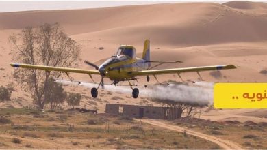 «وقاء مكة المكرمة» يدعو المواطنين الابتعاد عن مواقع الرش والحذر من المبيدات وعمليات المكافحة