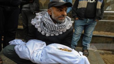 115 يوما من اتفاق غزة: 556 شهيدا و1500 مصابا خلال 1520 خرقا