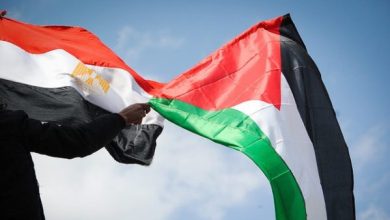 مصر وفلسطين
