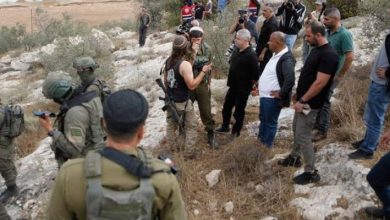 1872 اعتداءً خلال شهر واحد.. الاحتلال والمستوطنون يصعّدون عدوانهم ضد الفلسطينيين في يناير