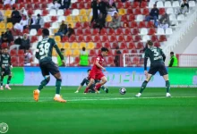 من لقاء ضمك والخلود