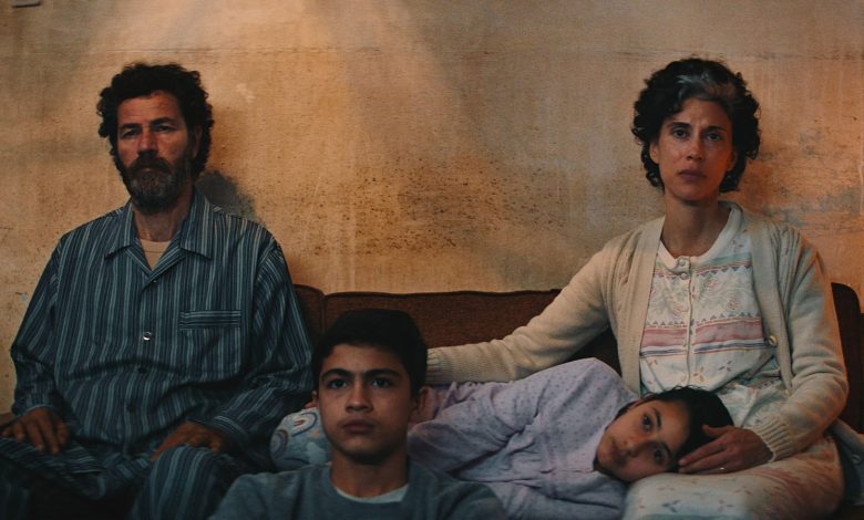 4 أفلام فلسطينية في دور العرض المصرية 