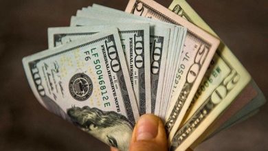 استقرار سعر الدولار أمام الجنيه المصري اليوم الأحد في البنوك