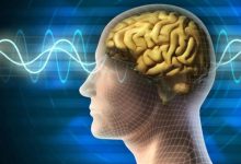 الأشعة تحت الحمراء.. أمل جديد للحد من تلف الدماغ لدى الرياضيين