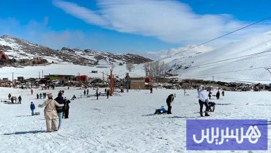 الثلج ينعش الرواج في أوكيمدن