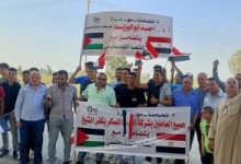 «الدلتا للسكر» تتكبد خسائر 346 مليون جنيه بسبب إغراق السوق المحلي بالسكر المستورد