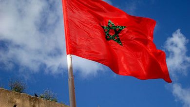 السلطات المغربية تلغي عروض الجزائري السيكتور في البلاد