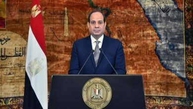 السيسي ورئيس الصومال يؤكدان تأمين البحر الأحمر وخليج عدن مسؤولية حصرية للدول المشاطئة