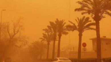 الصحة تقدم نصائح هامة لمواجهة التقلبات الجوية والعواصف الترابية