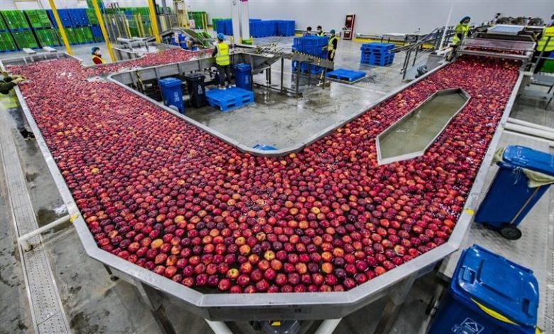 الصين تسعى للاكتفاء الذاتي الغذائي بعيداً عن المحاصيل الأمريكية