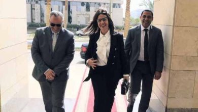 الفنانون يهنئون وزيرة الثقافة الجديدة ويؤكدون دعمهم للعمل الفني في مصر