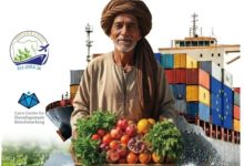 انطلاق حملة «صدّر لأوروبا» منتصف فبراير لتعزيز جاهزية الصادرات الزراعية المصرية