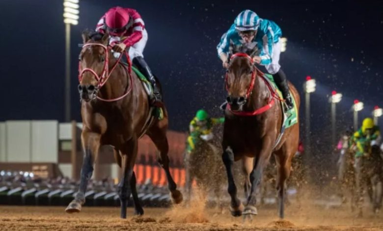 انطلاق فعاليات النسخة السابعة من كأس السعودية 2026 وسط حضور عالمي كبير